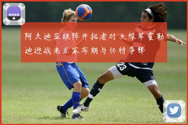 阿夫迪亚缺阵开拓者对决绿军霍勒迪迎战老东家布朗与怀特争锋